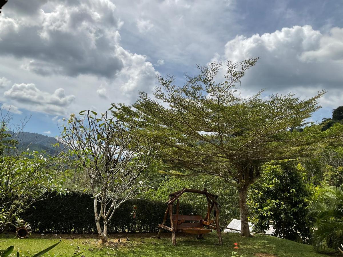 Khao Sok Hill Top Resort Khao Sok National Park Dış mekan fotoğraf