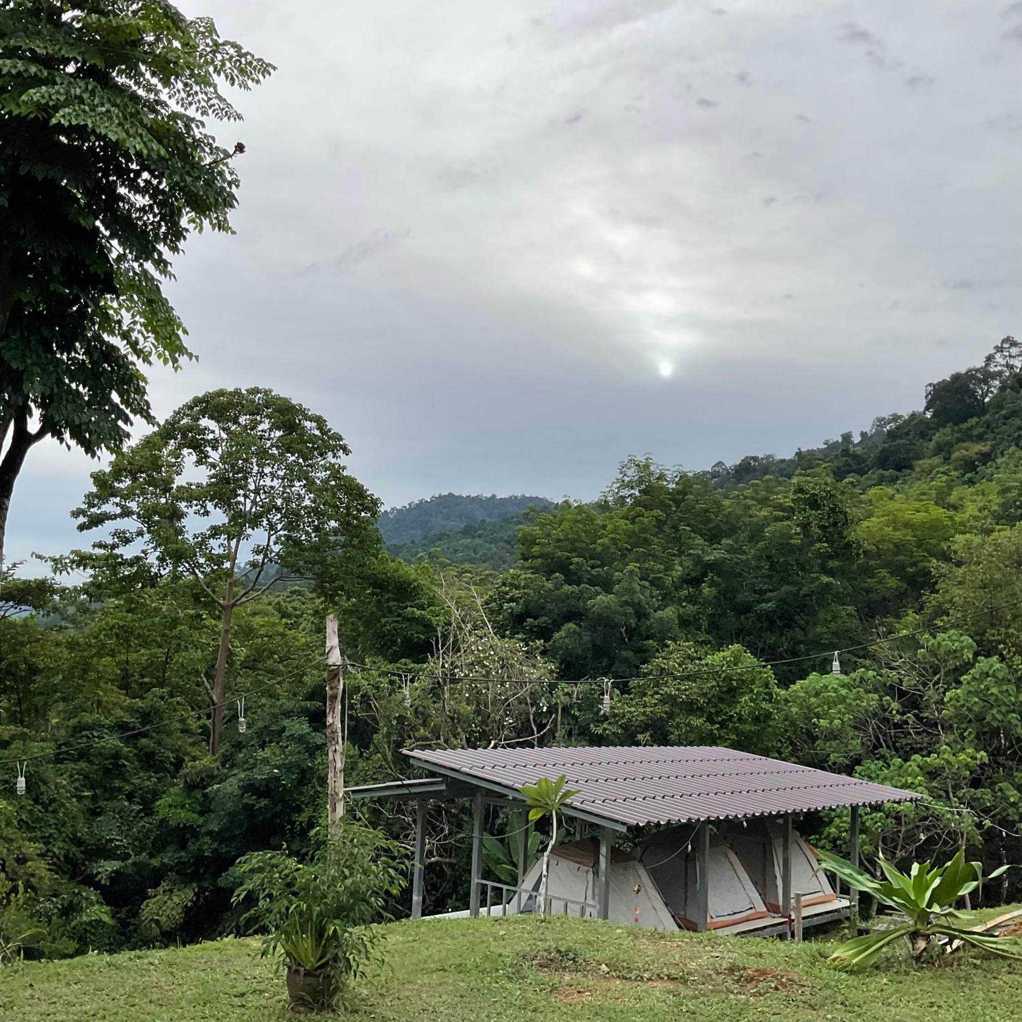 Khao Sok Hill Top Resort Khao Sok National Park Dış mekan fotoğraf