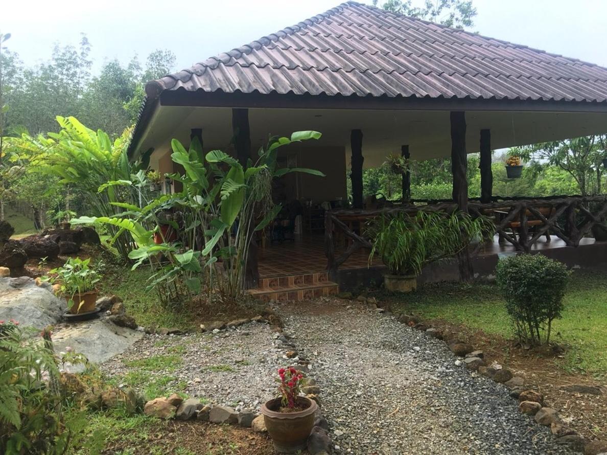 Khao Sok Hill Top Resort Khao Sok National Park Dış mekan fotoğraf